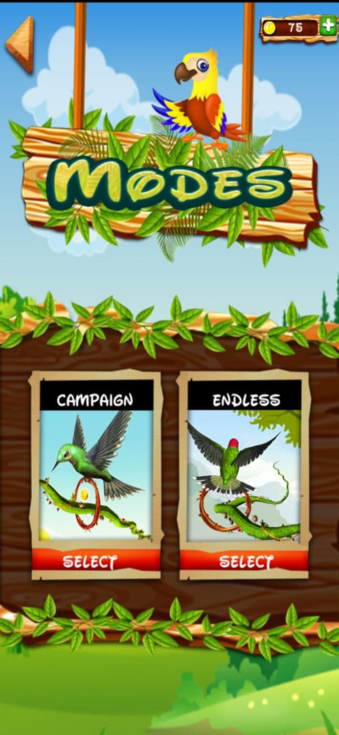 Parrot Bird Jungle Adventure