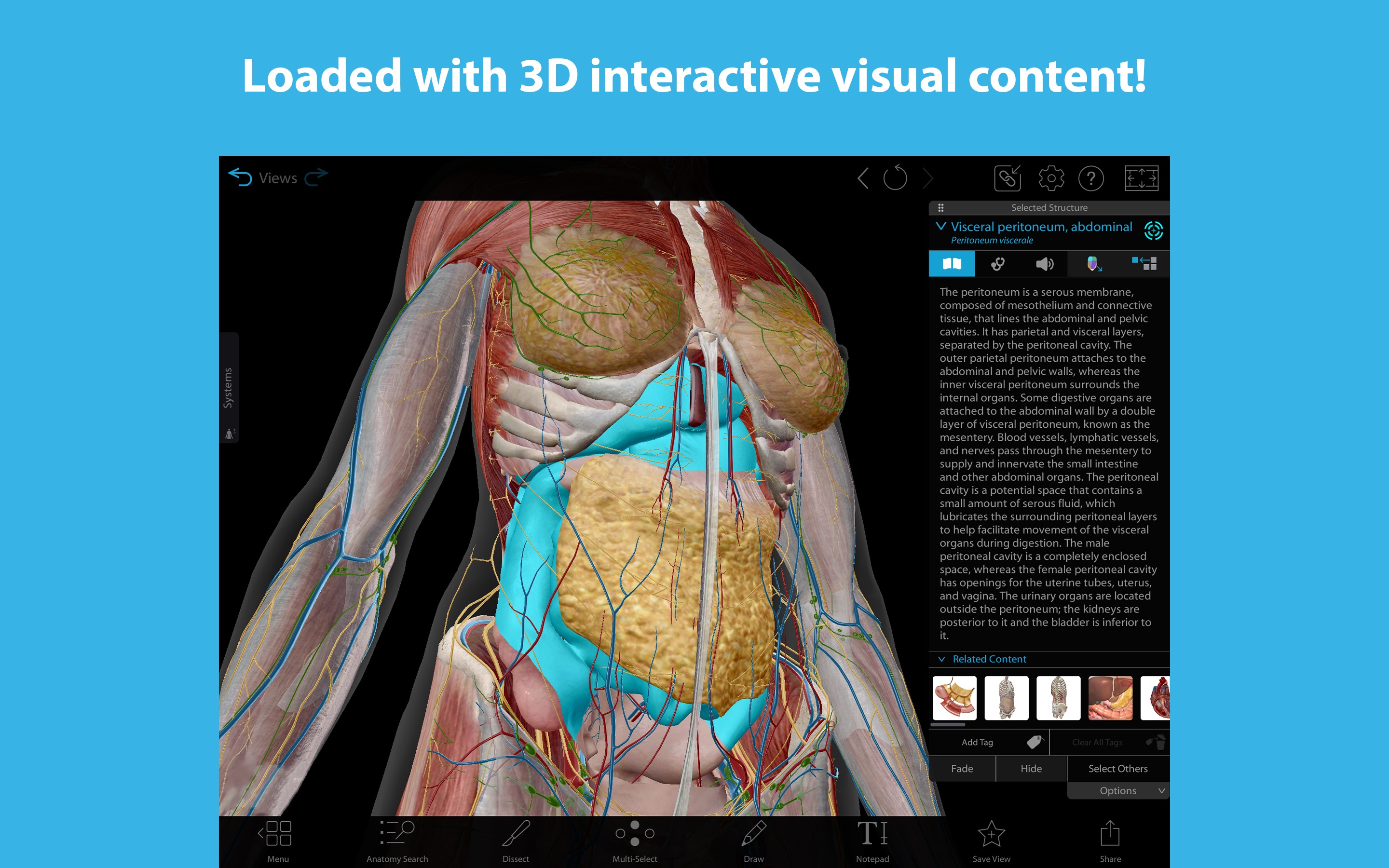 Screenshot do app 3D Human Anatomy Atlas 2024