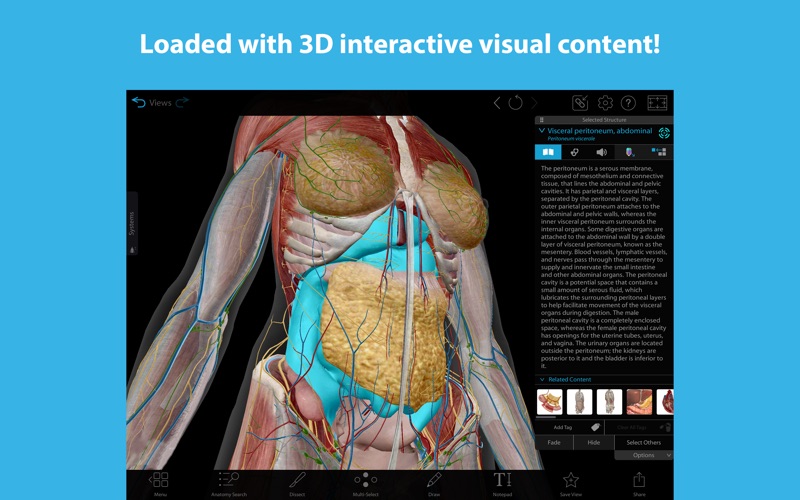 Screenshot #1 for 3D Human Anatomy Atlas 2024