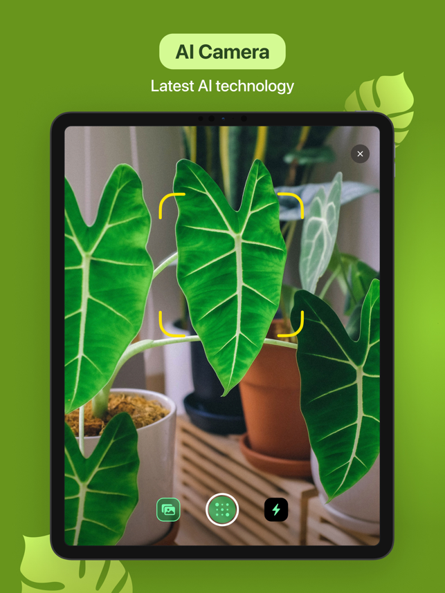 ‎Leaf Identification Screenshot