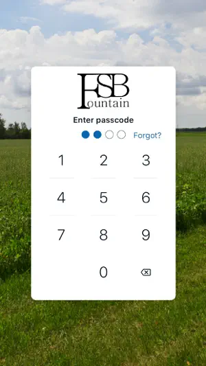 FSB Fountain screenshot 2