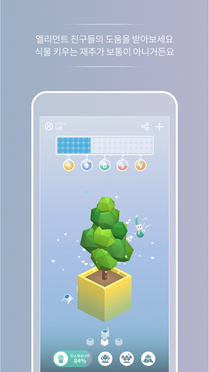 태양의 숲 | Solar Forest