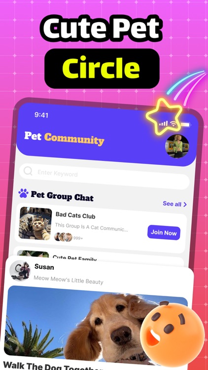 Kika-Cute Pets