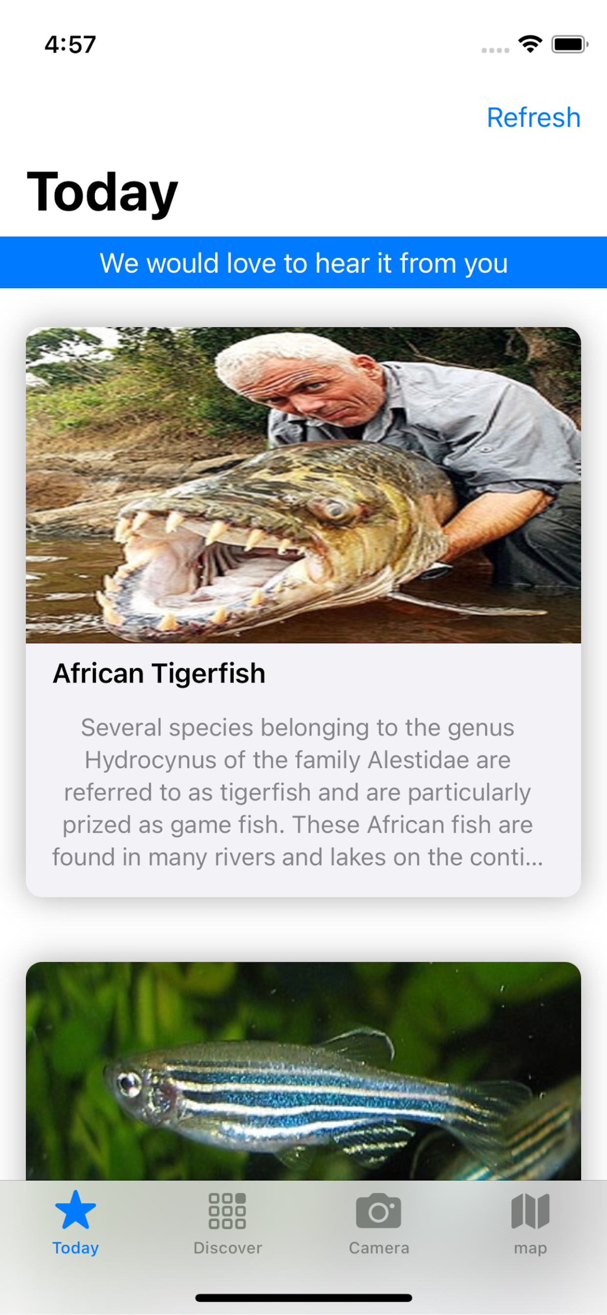 Fish edu