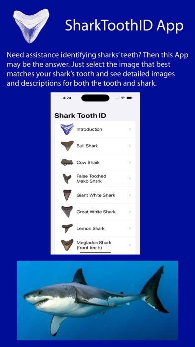 SharkToothID Screenshot