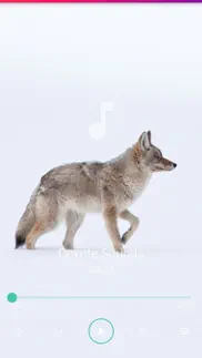 coyote sounds pro iphone screenshot 3