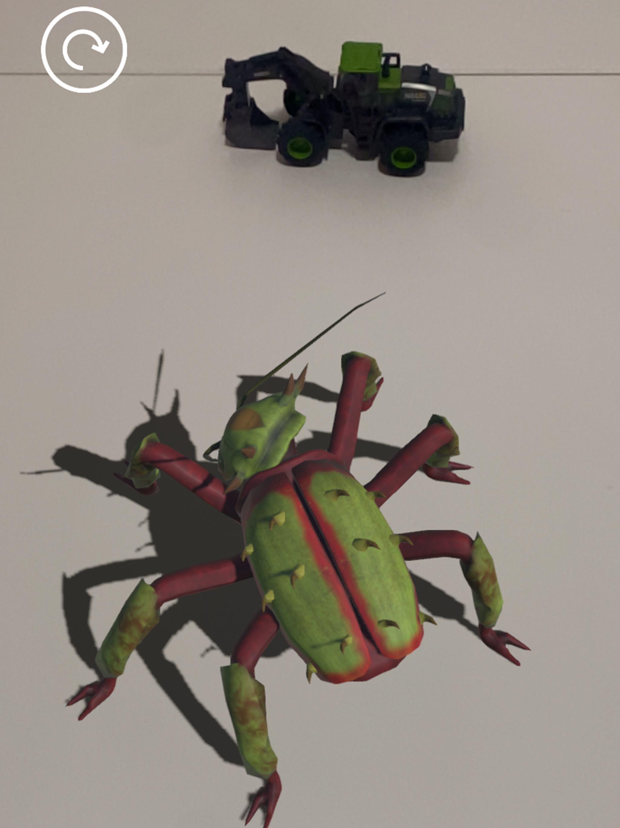 Insectes AR