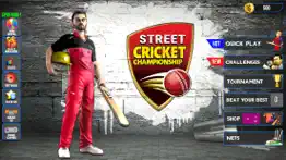 street cricket championship iphone screenshot 4
