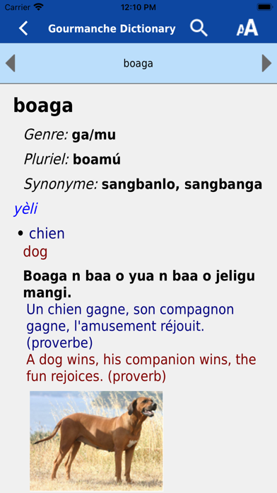 Screenshot #3 pour Gourmanche Dictionary