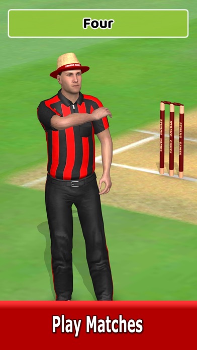 Cricket World Domination Screenshot