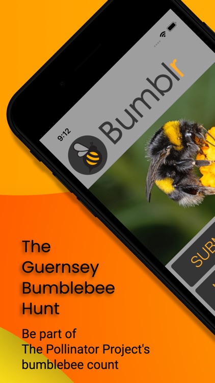 Bumblr - Guernsey Bumblebees