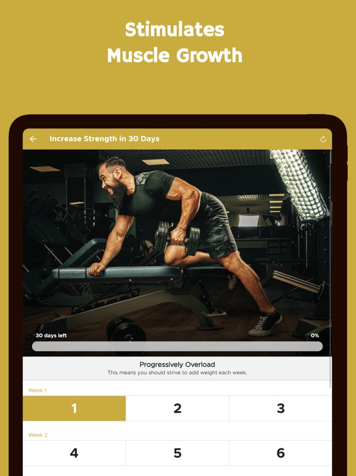 Gym Workout Programs