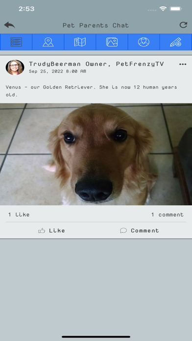 PetsFrenzyTV Screenshot