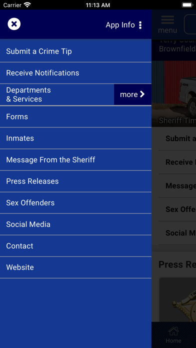 Terry County Texas Sheriff Screenshot