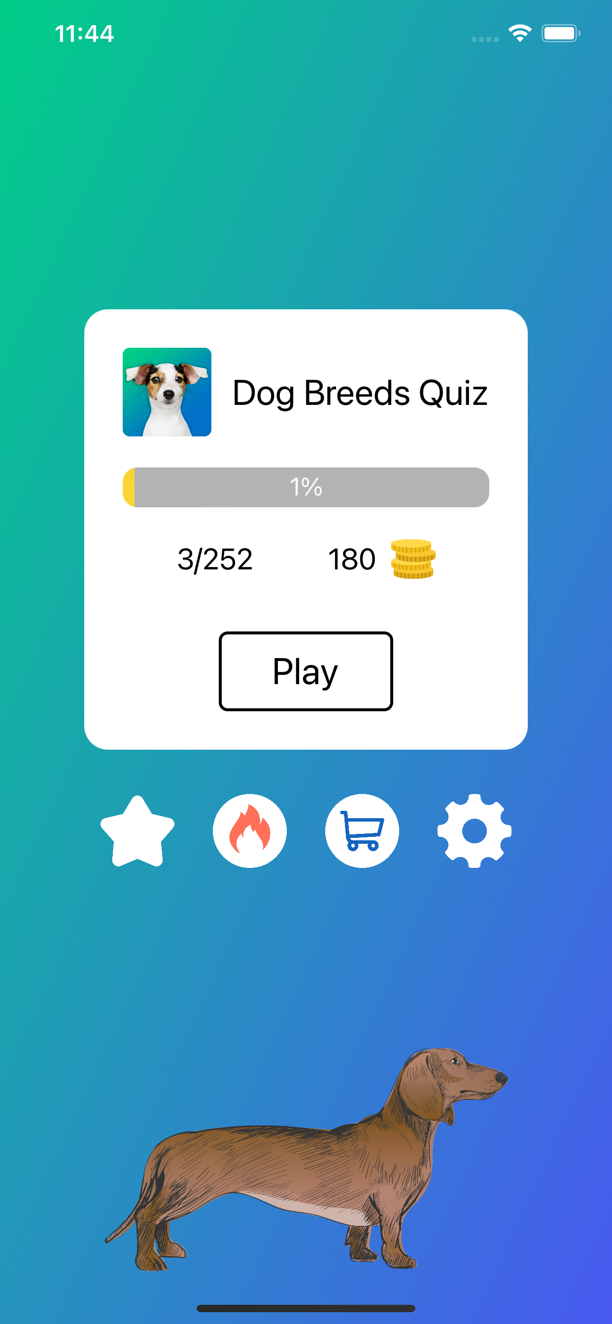 Dog Breeds Quiz: Guess the Pet