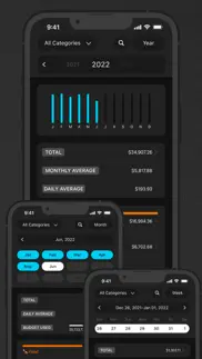 tiny savings: budget tracker problems & solutions and troubleshooting guide - 1