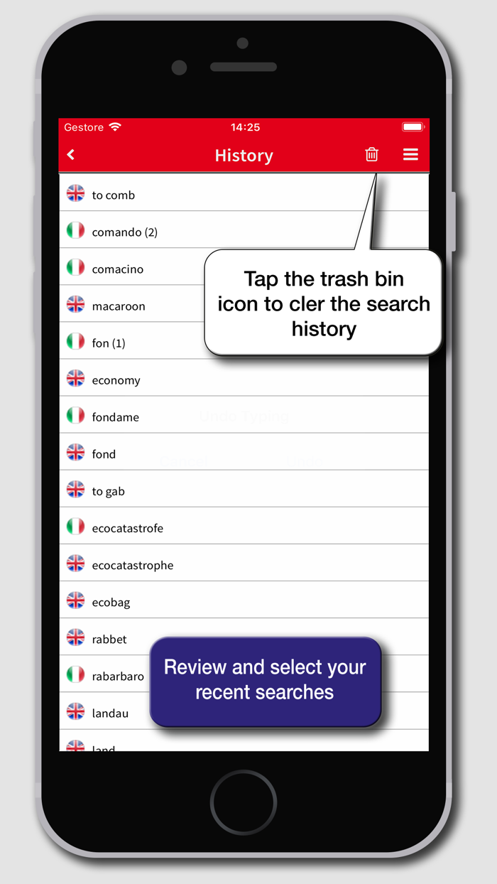 Hoepli English Dictionary