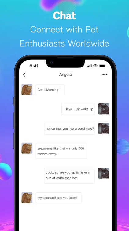 KittyKorner -  Adopt & Breed screenshot-4