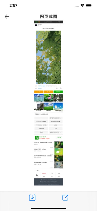 久久浏览器-好用的双屏浏览工具