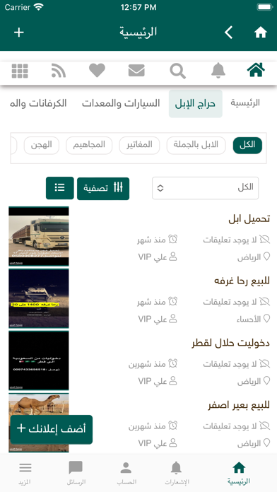 منصة الإبل Screenshot