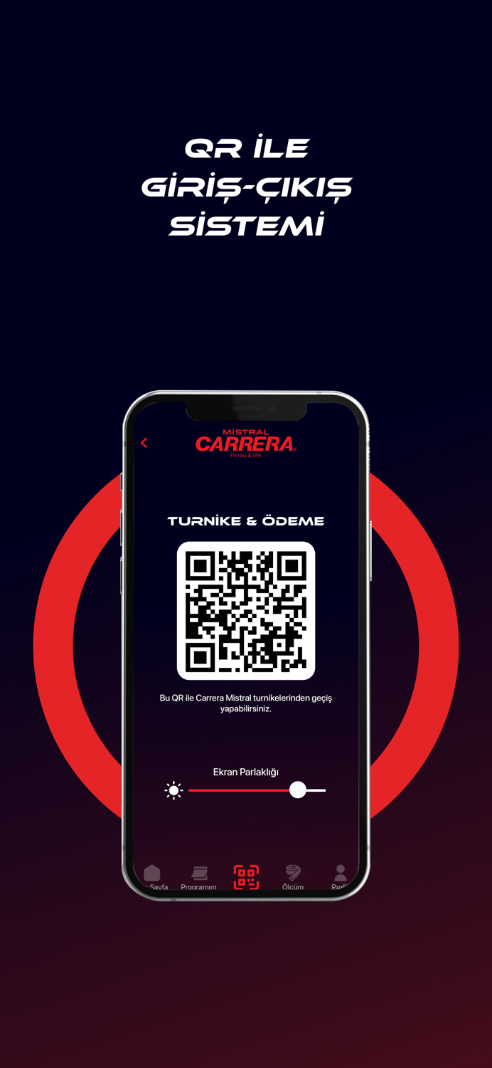 Carrera Mistral Dijital Tesis