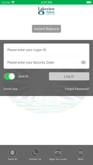 Lakeview Federal Credit Union Screenshot
