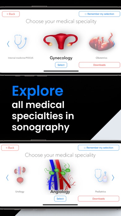 Scanbooster Ultrasound Sim Screenshot