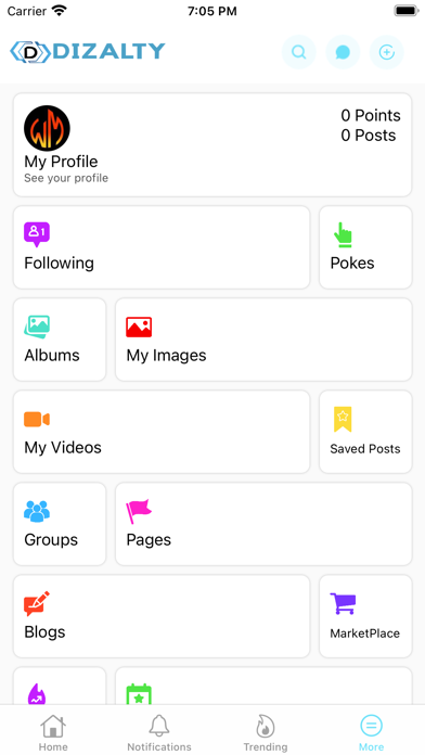 Dizalty Screenshot