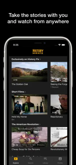 Game screenshot HistoryFix hack