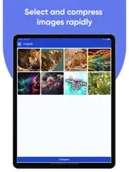 file converter - jpg, png, pdf ipad capturas de pantalla 4