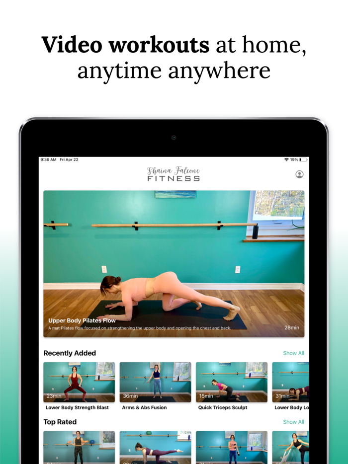 Shaina Falcone Fitness