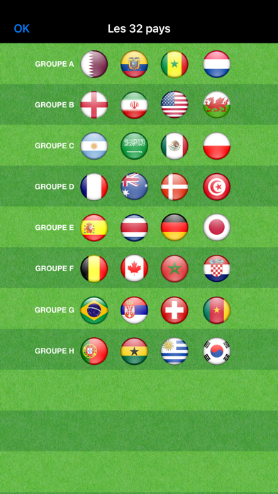 Screenshot #2 pour Football du Monde 2022