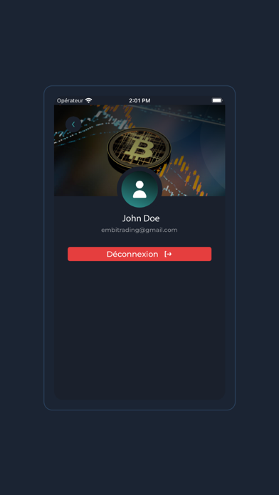 Silver Mirror by Futures Screenshot