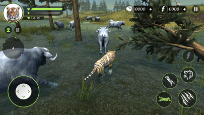 Wild Tiger Hunting Animal Life Screenshot