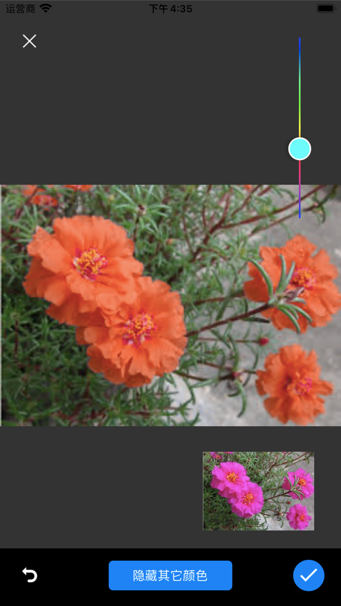 Palette Collect - Match colors