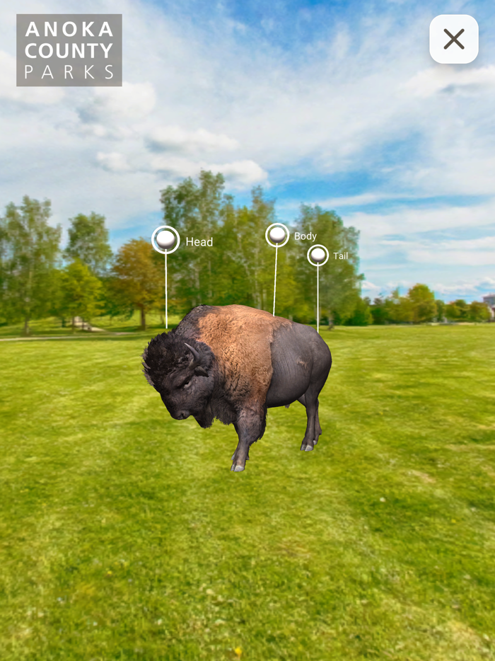 Tracks - Anoka County Parks