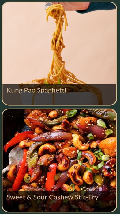Chinese Recipes Plus Screenshot