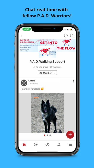 Peripheral Artery Disease: PAD Screenshot