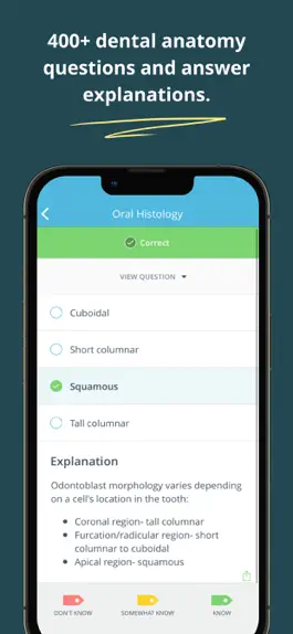 Game screenshot Dental Anatomy Mastery apk