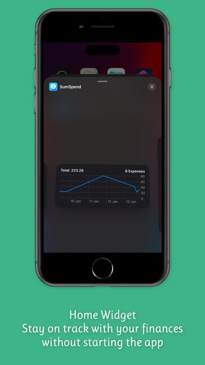 SumSpend - Personal Finances screenshot-7