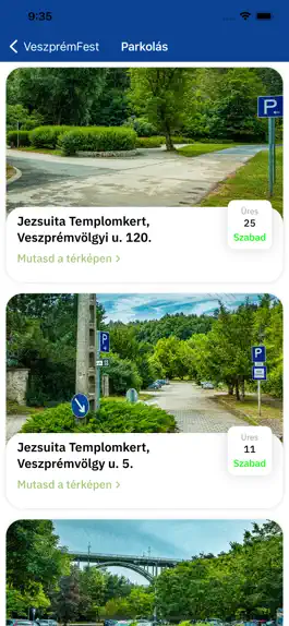 Game screenshot VeszprémFest hack