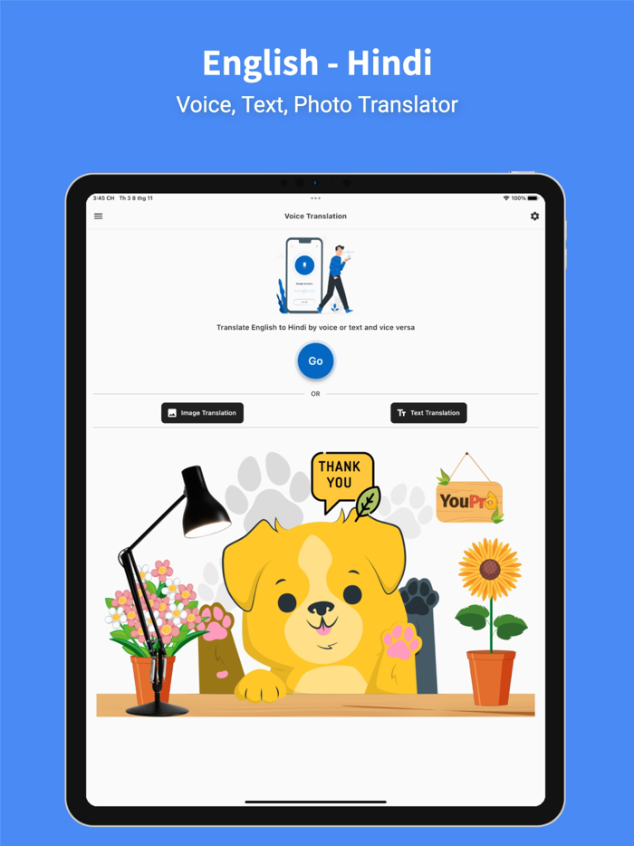 Hindi - English  Translator