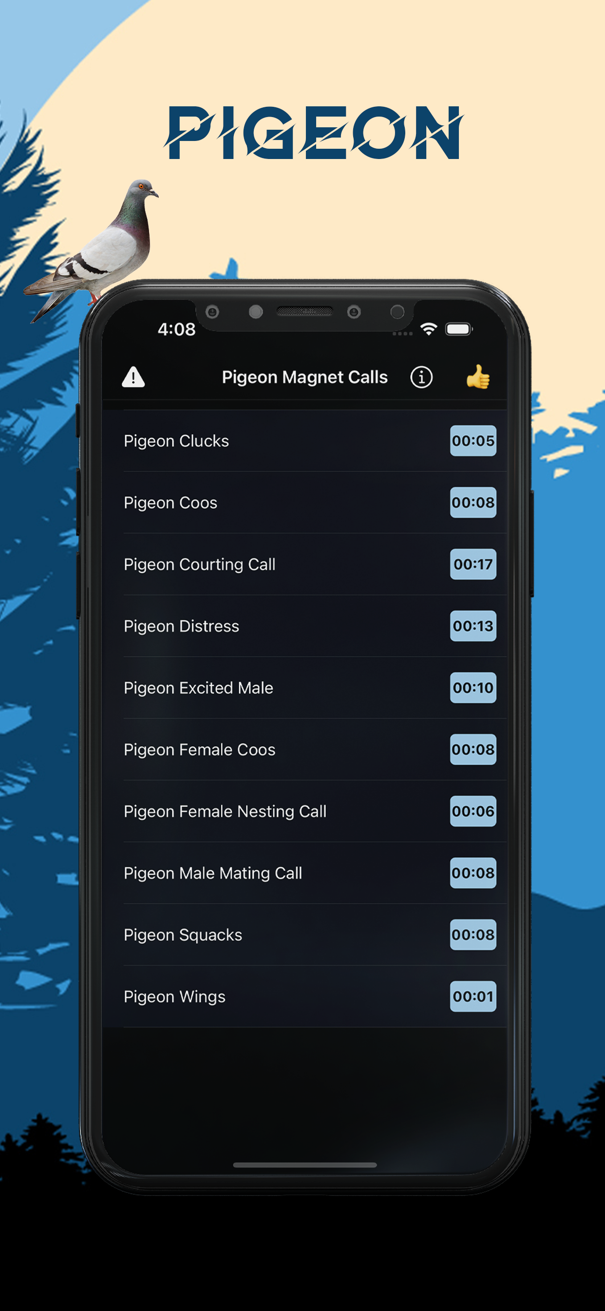 Pigeon Magnet - Piegon Calls
