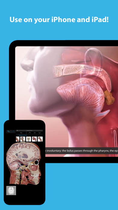 Human Anatomy Atlas 2024 Screenshot
