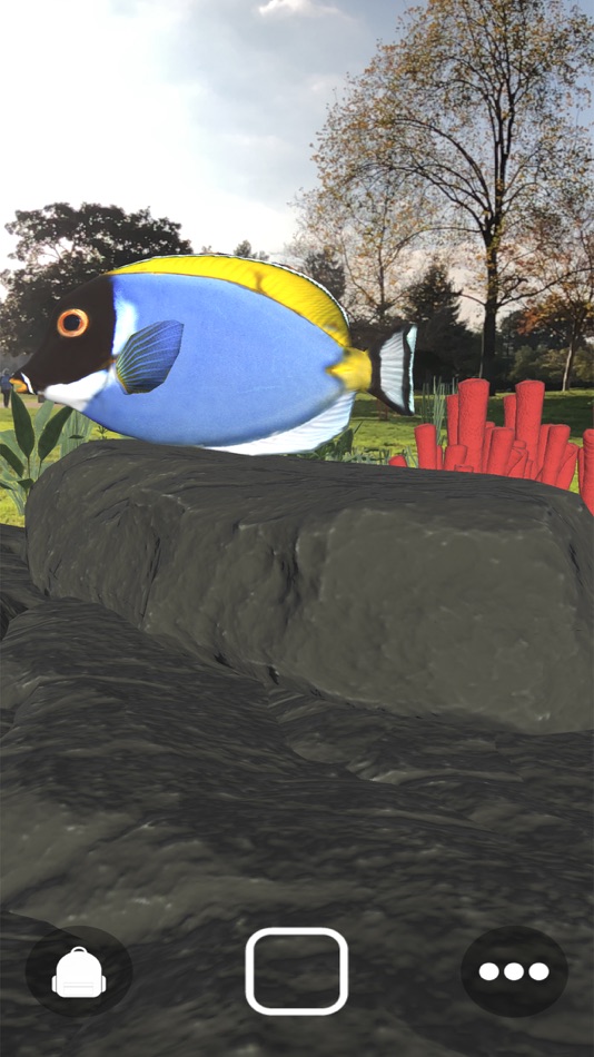 #2. Magic Fish AR (iOS) 由: Near Future Marketing Inc.