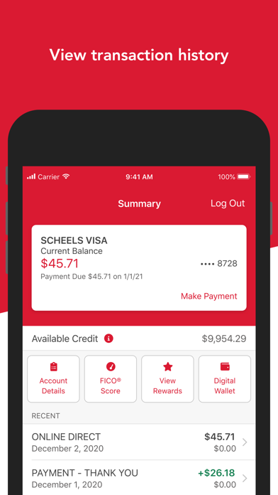 Scheels Visa Card Screenshot