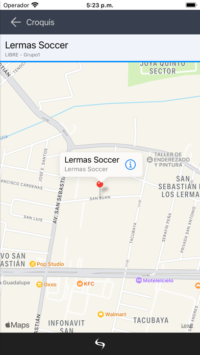 Lermas Soccer Screenshot