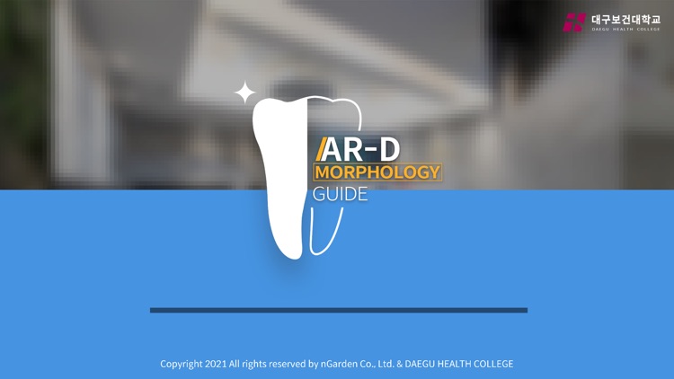 AR-D Morphology