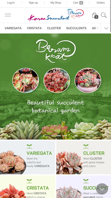 Korea Succulents Screenshot