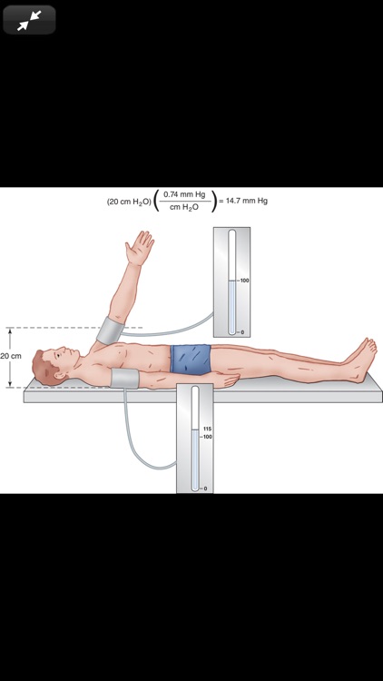 Clinical Anesthesiology, 7/E screenshot-7